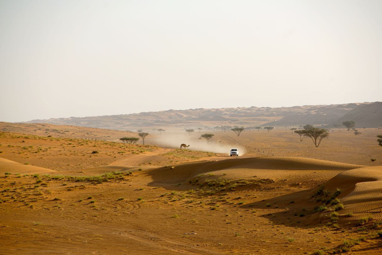 Nomadic Desert Camp in Oman