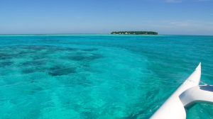 Belize, Inseln, Golfers Atoll, Tauchen, Walhaie