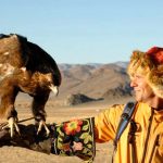 Trip to Chile - eagle