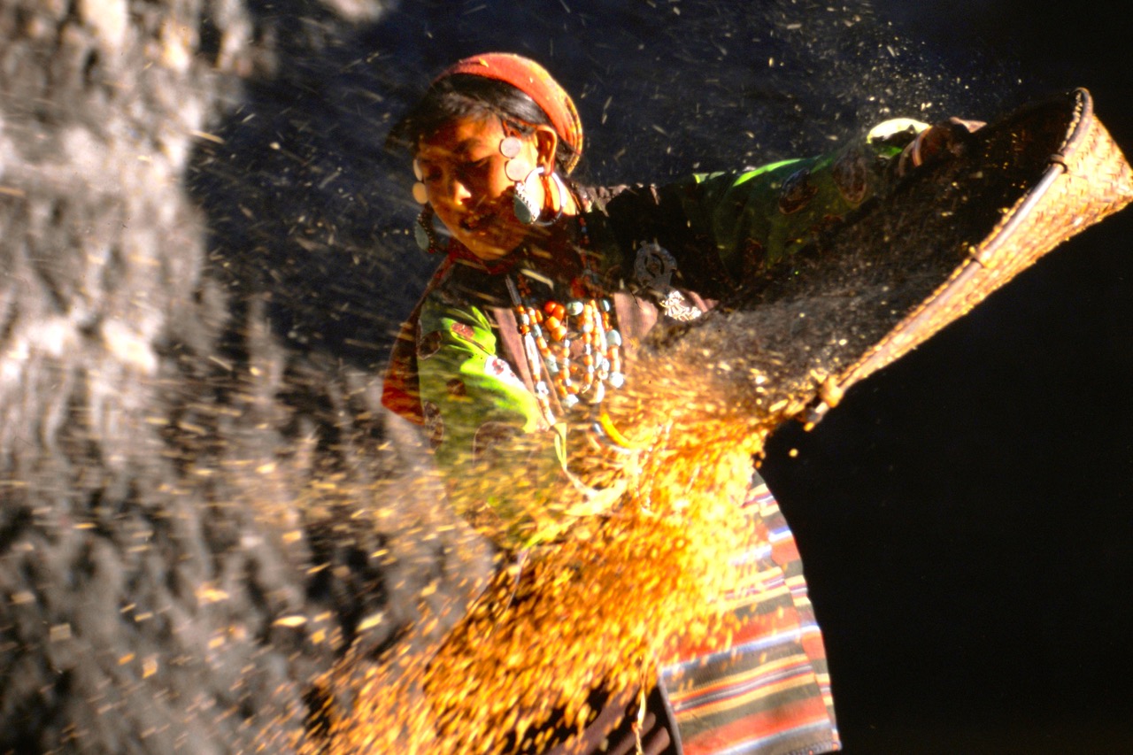 Nepal-woman-corn