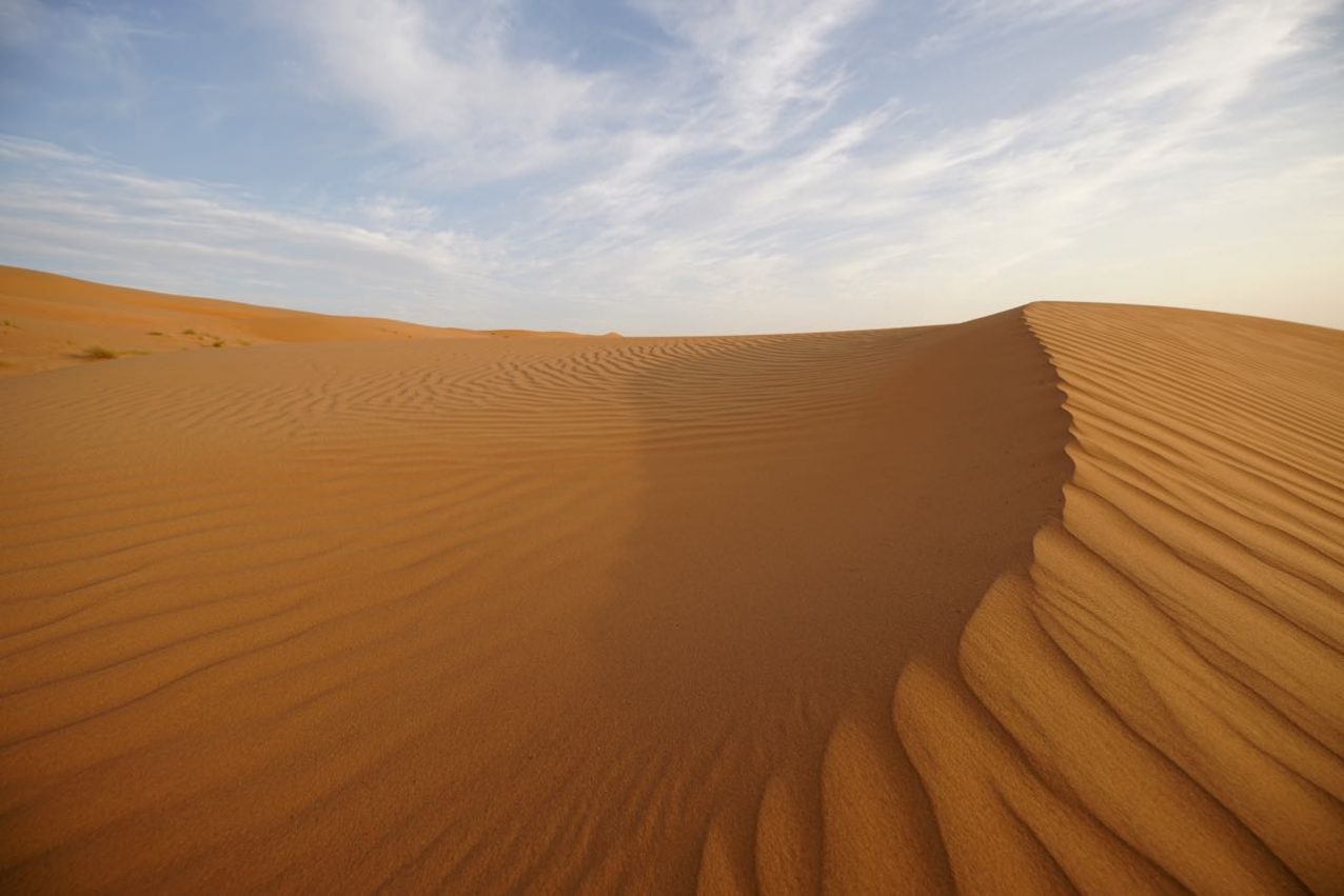 Düne in der Wüste im Oman