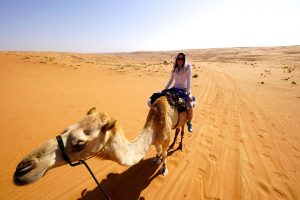 Kamel reiten im Oman
