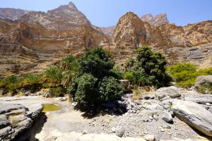 An Nakhur Gorge Oman